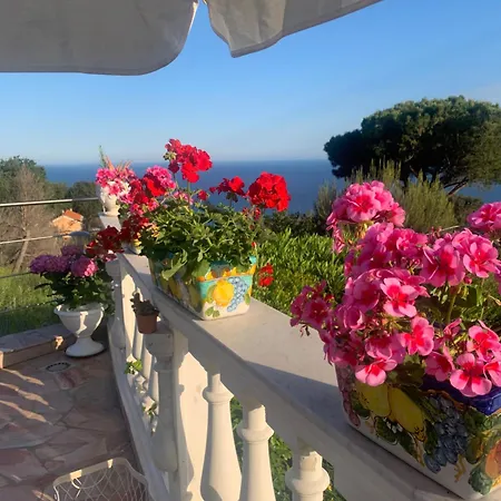 Villa Elianna In Oasi Marina