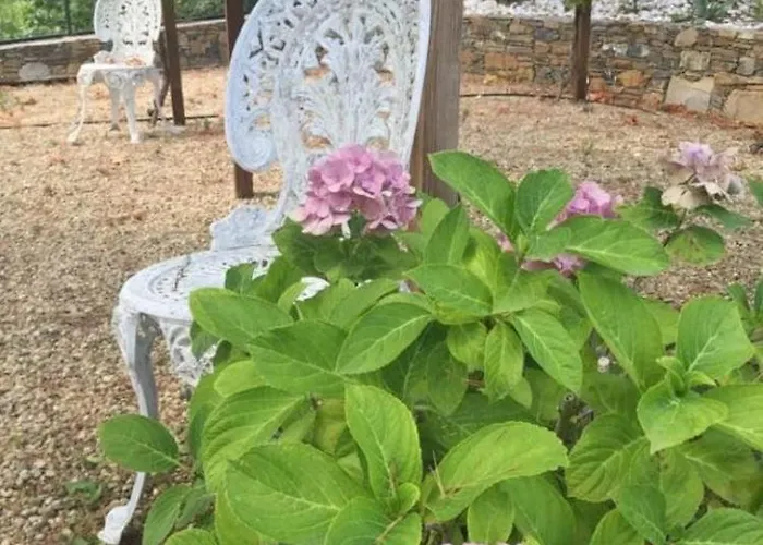 Elianna In Oasi Marina Villa Alassio